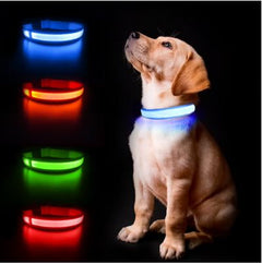 LED Light Up Dog Collar